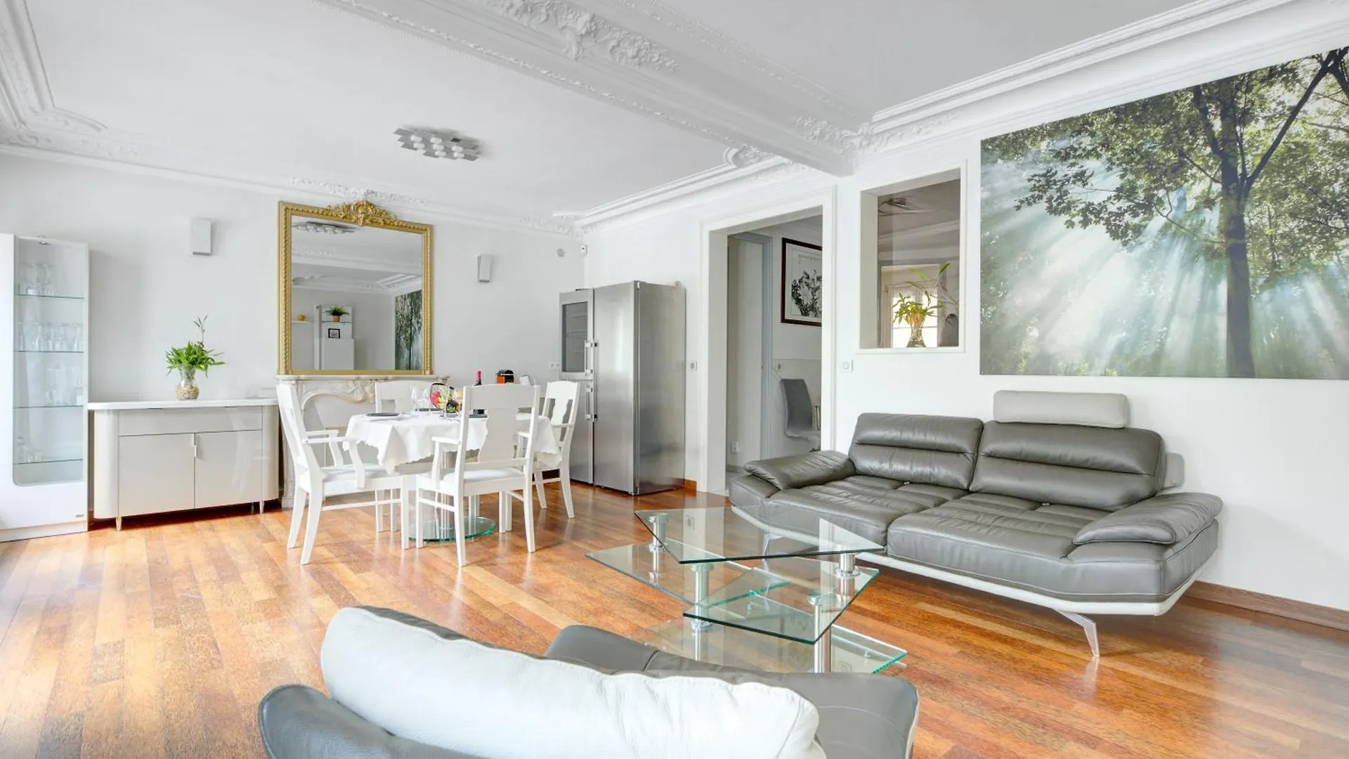 Apartment Place De La Republique - Haussmannienne *